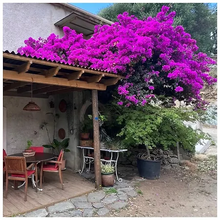 Maison U Ponte * Biguglia (Corsica)