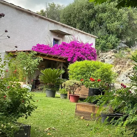 Maison U Ponte Сasa de vacaciones Biguglia (Corsica)