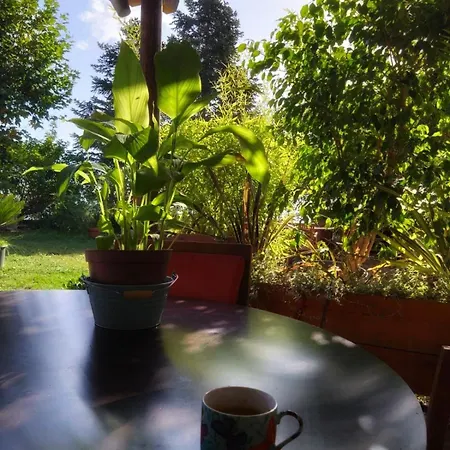 Maison U Ponte Holiday home